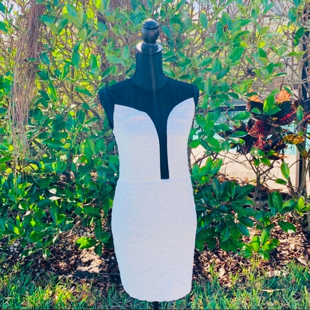 Womens Black + White Bodycon Dress Size Large